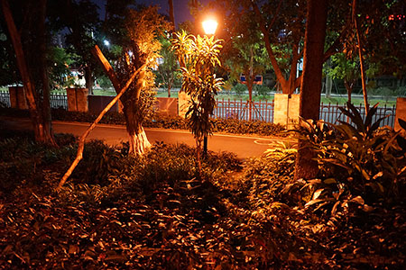 Garden and Park Lighting Solution