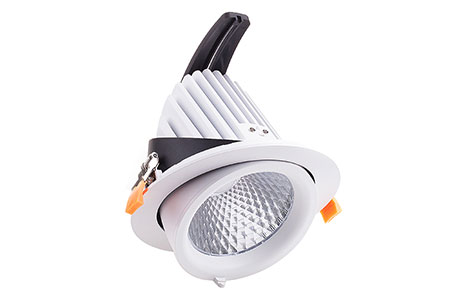 LED Downlight