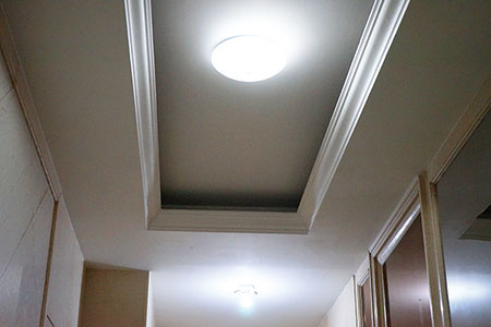 LED Ceiling Light